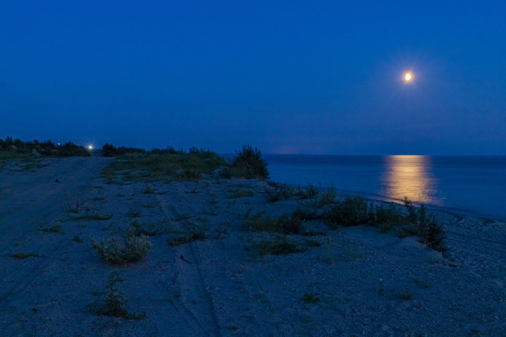 Photograph by Константин Чижов