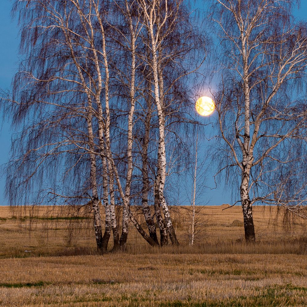 Фотография автора Павел Ступак