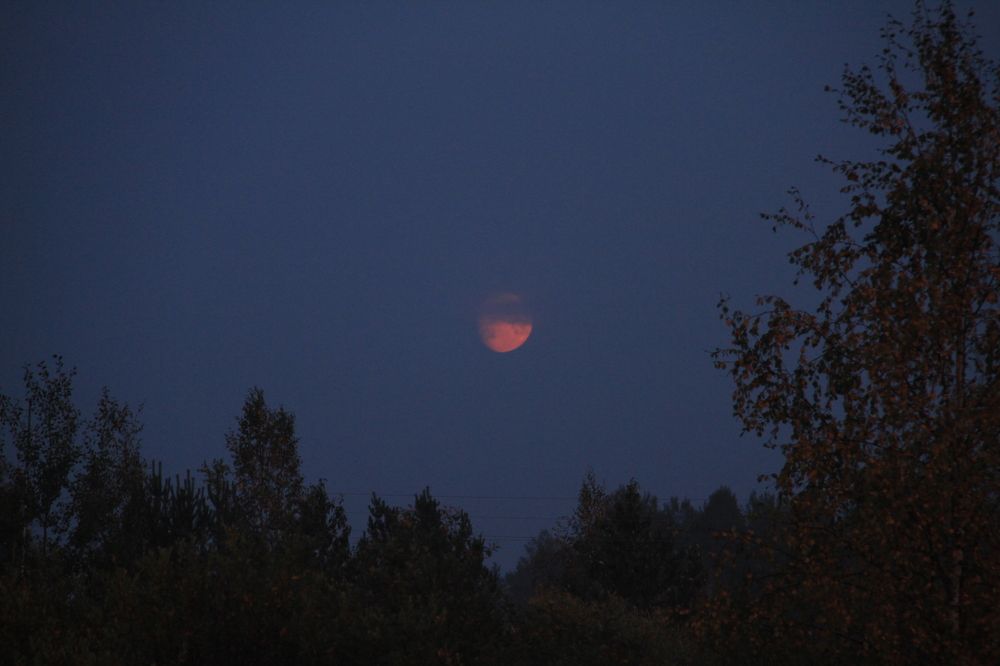 Фотография автора Анастасия Зверева