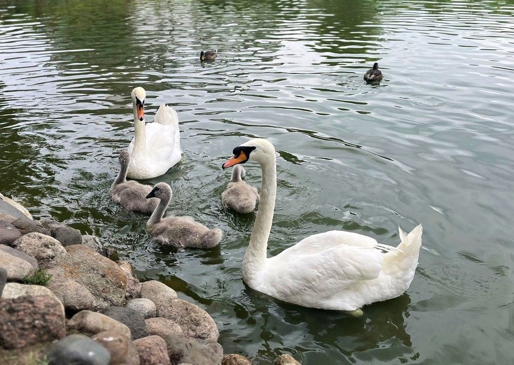 Photograph by Елена Карпухно