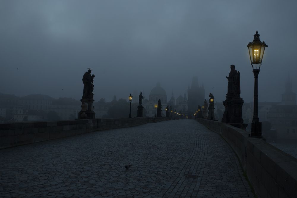 Photograph by Дарья Иванова