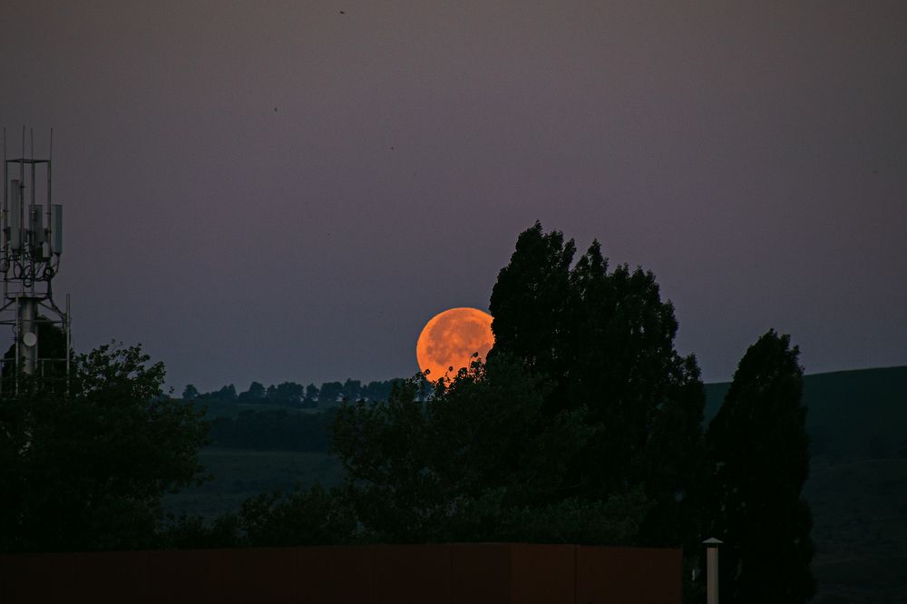 Photograph by Сергей Удовиченко