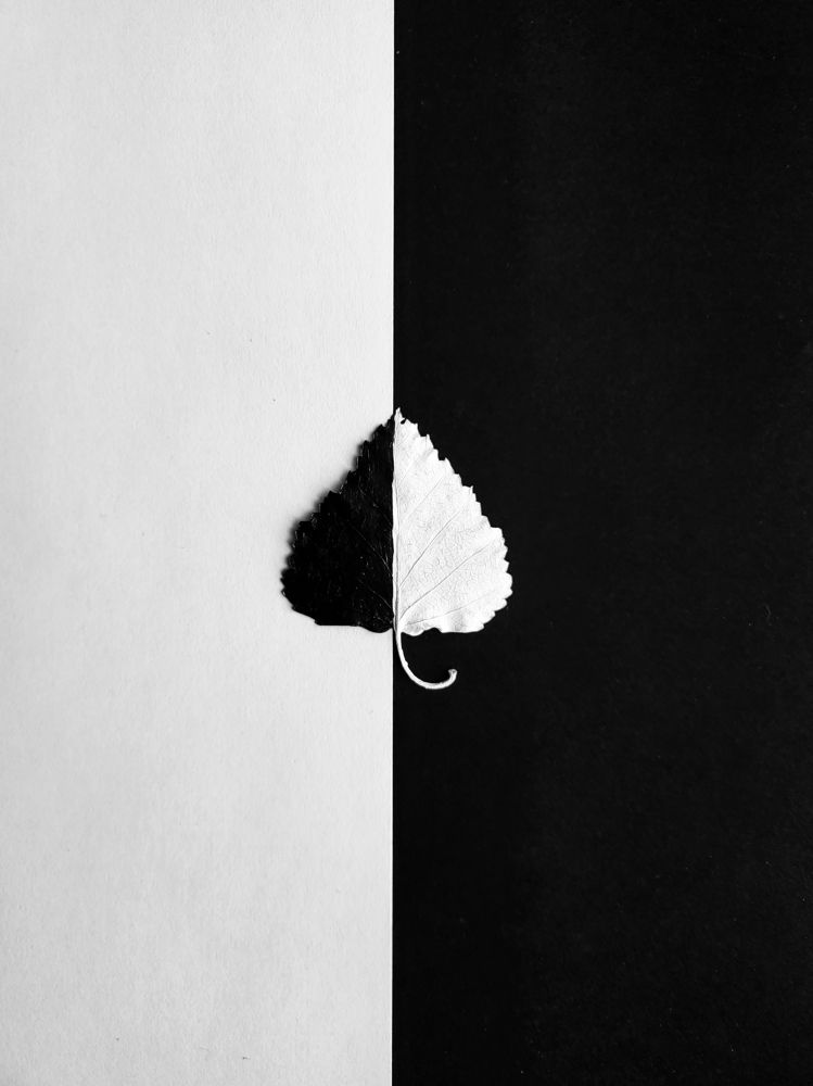 Photograph by Людмила Аксенова