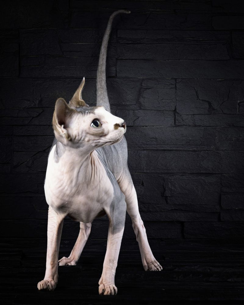 Фотография автора Igor Lukin