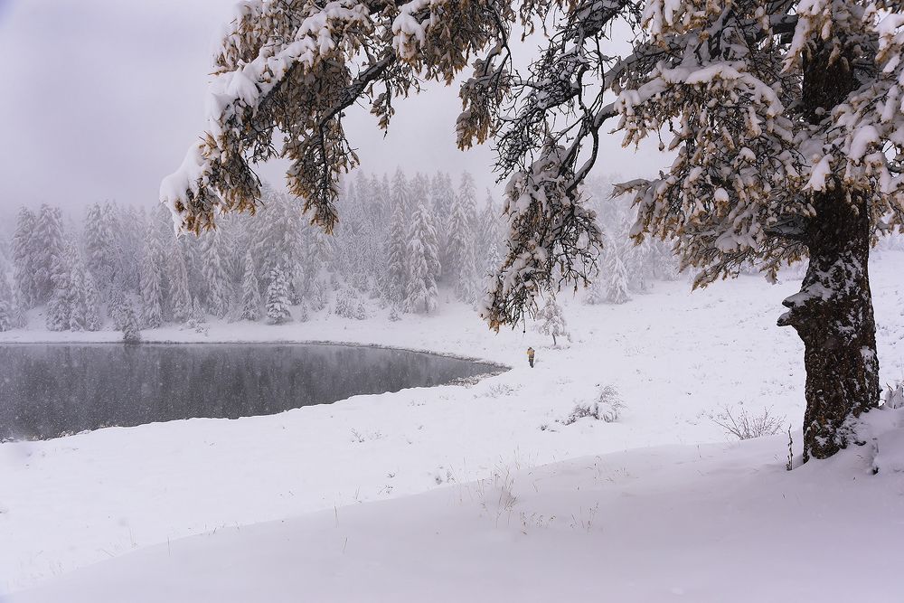 Photograph by Дроздова Наталья
