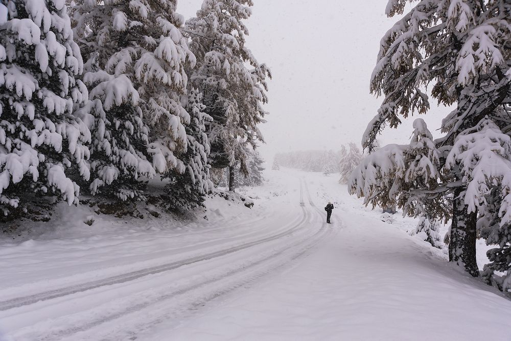Photograph by Дроздова Наталья