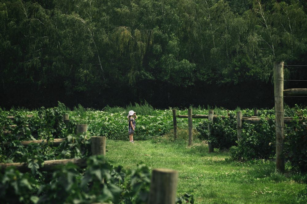 Фотография автора Оксана Мерзликина