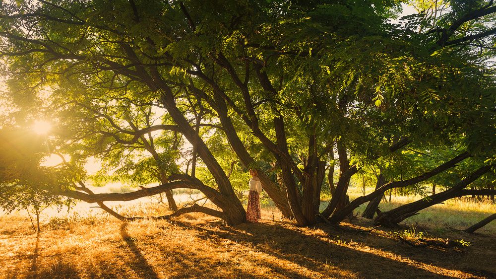 Фотография автора Евгений