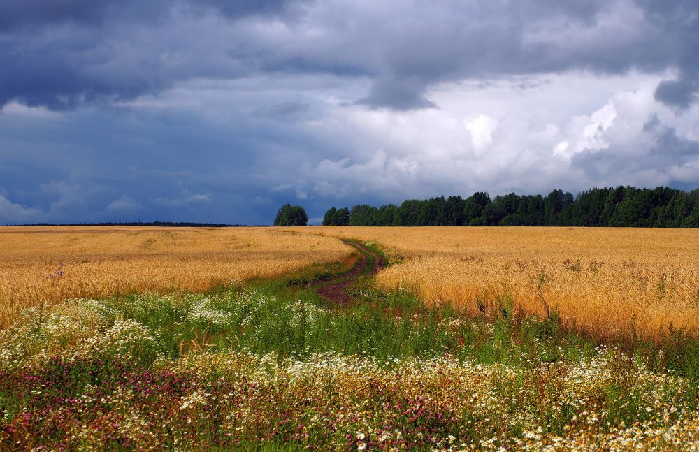 Photograph by ANDREY PERESHEIN