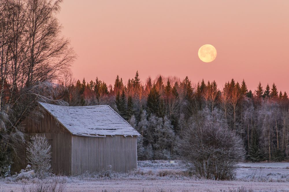 Photograph by Katrin Lillenthal