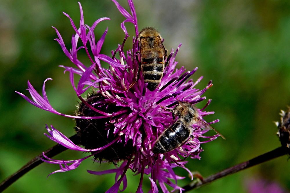 Photograph by Дмитрий Симагин