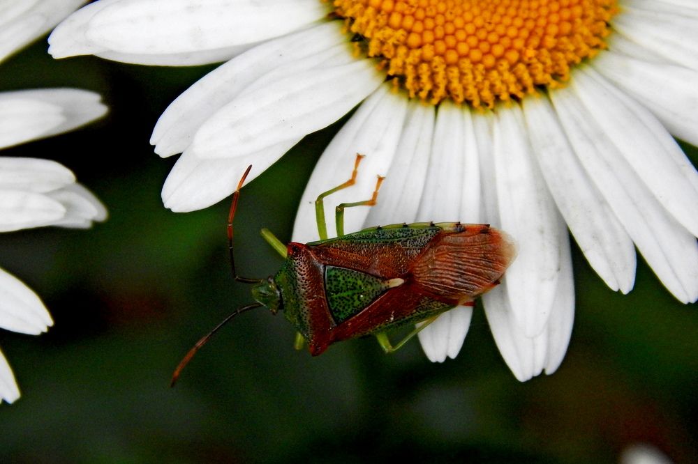 Photograph by Дмитрий Симагин