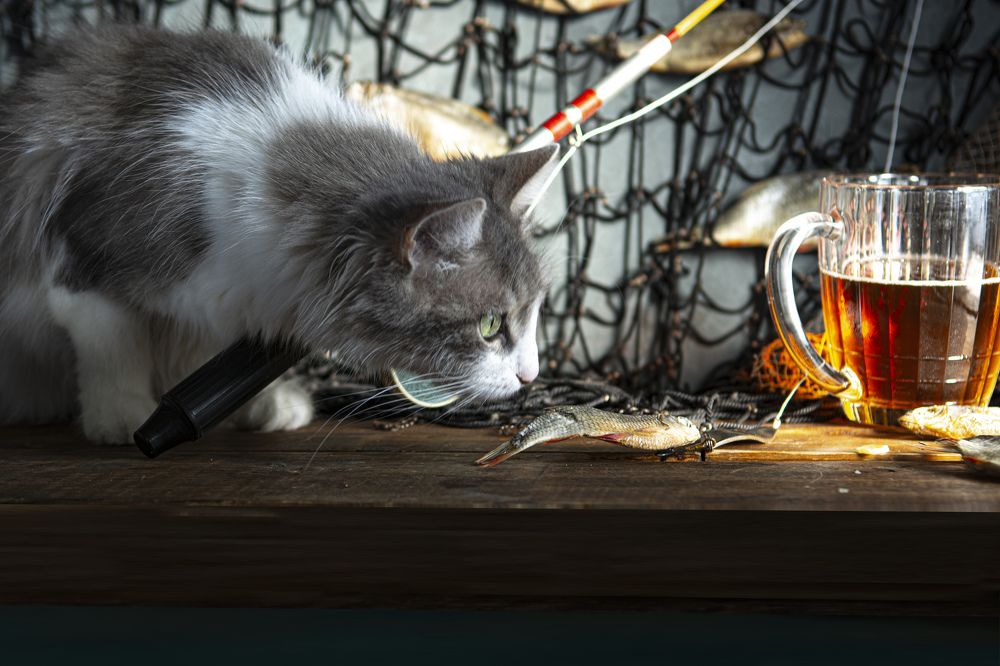 Photograph by Игорь Смирнов