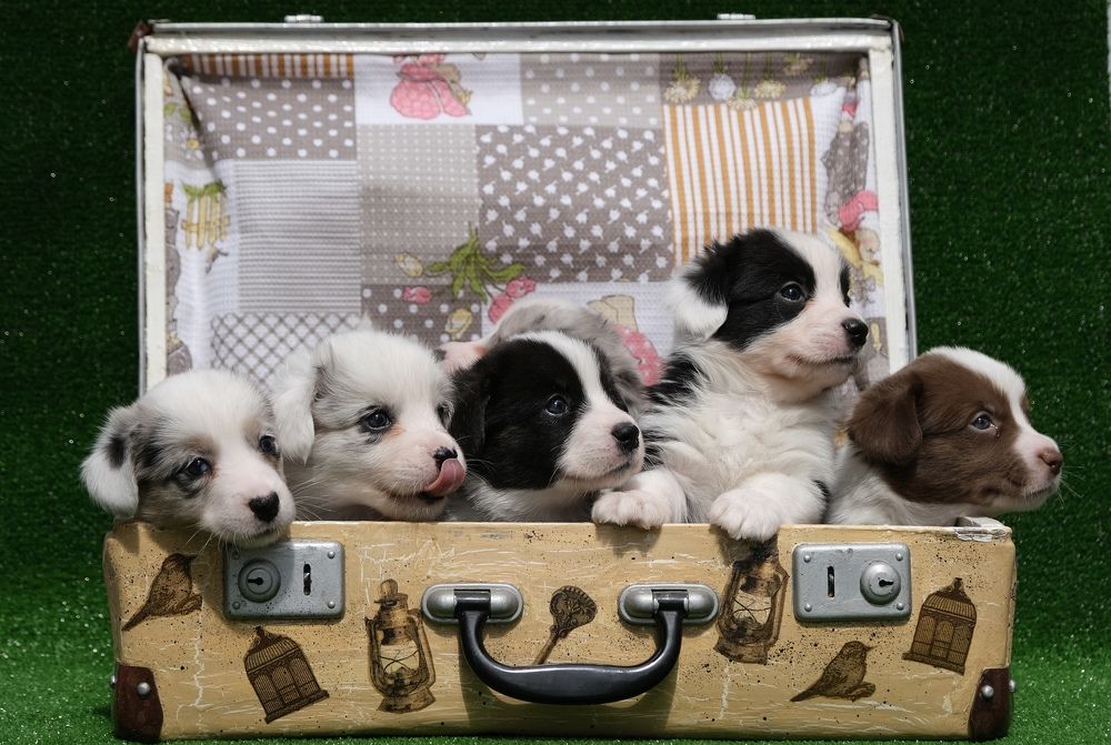 Photograph by Жанна Силаева