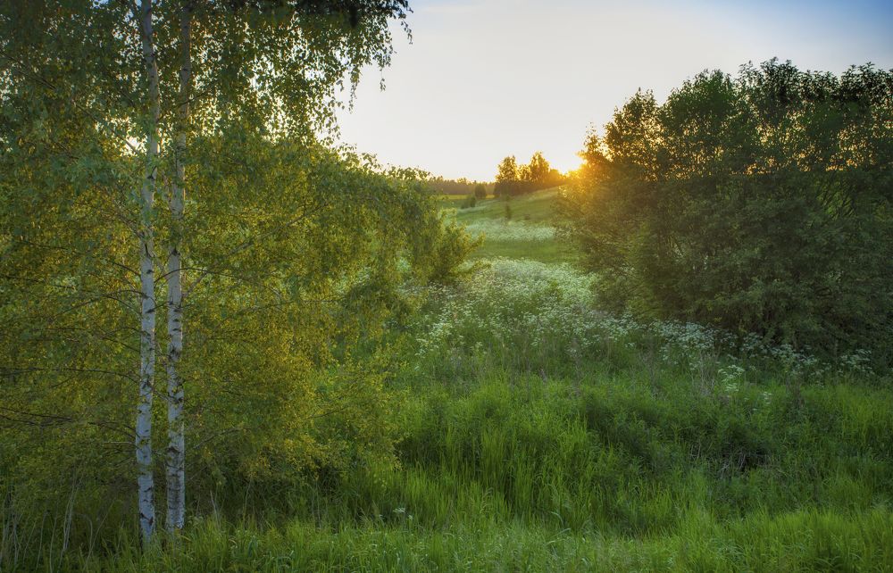 Photograph by Сергей Старостин