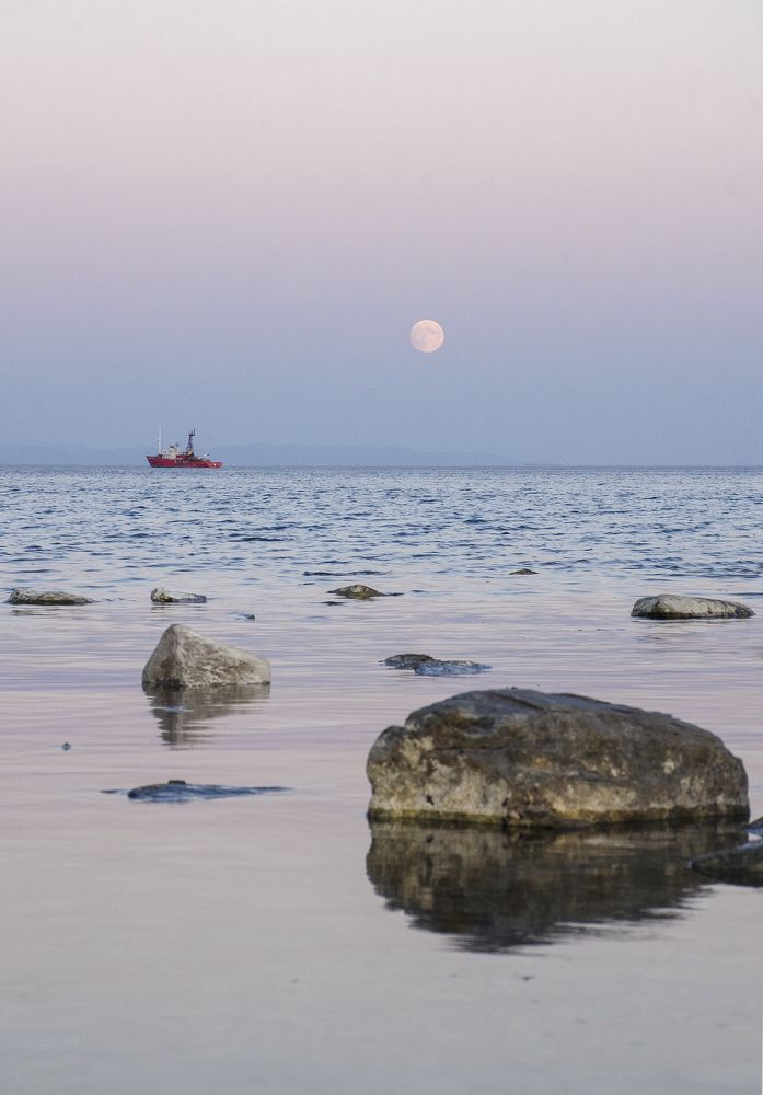 Photograph by София Носкова