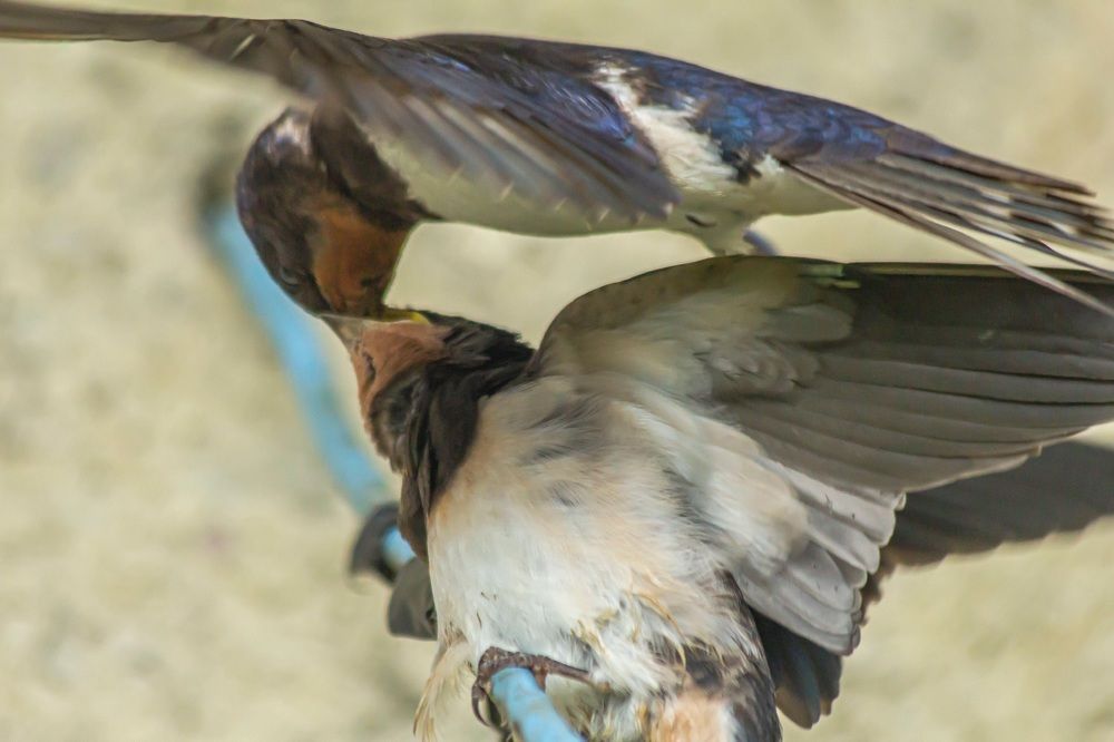 Photograph by Андрей