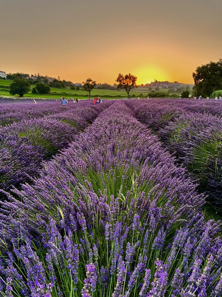 Photograph by Лариса Акинчиц