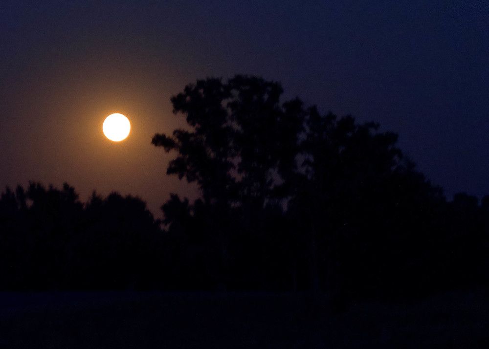 Photograph by Maria Zhdanova