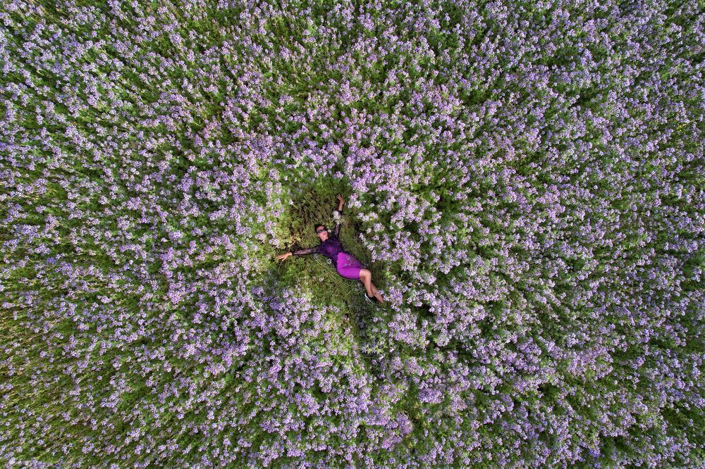 Photograph by Дорофеева Анна