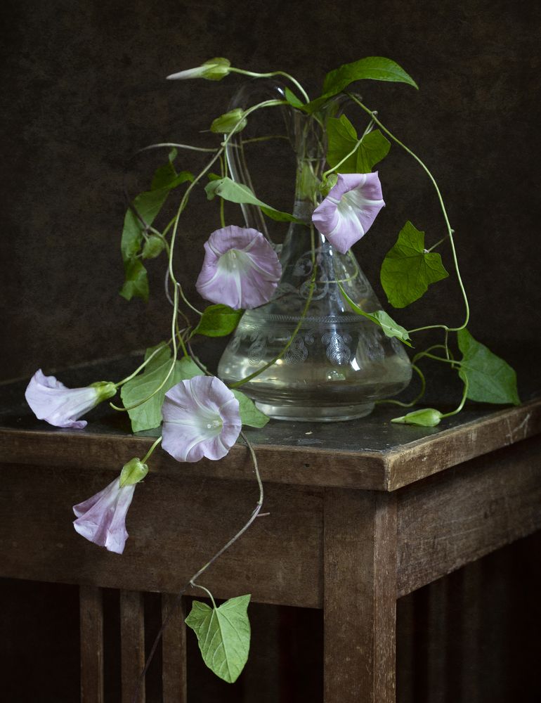 Фотография автора Марина Кулакова