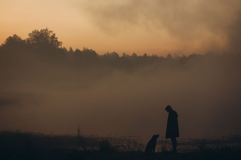 Photograph by Елена Высоких