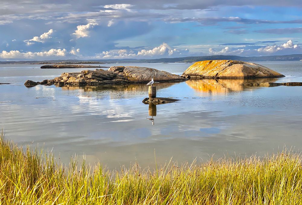 Photograph by Janina Segeda