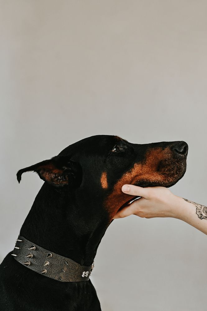 Photograph by Ирина Поремская