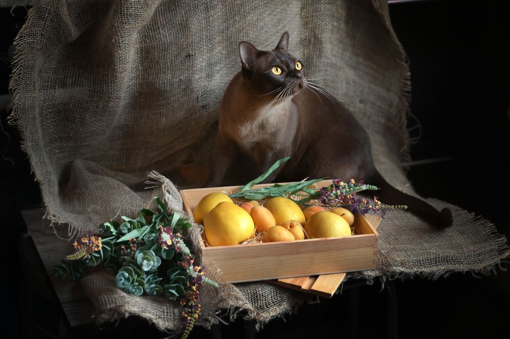 Photograph by Наталия Моргунова