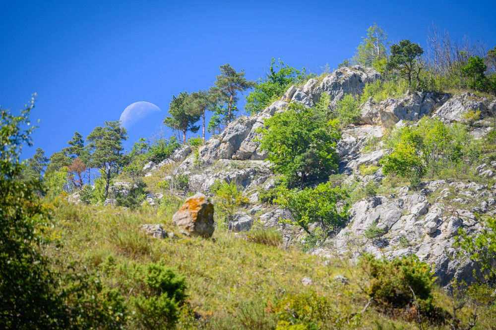 Фотография автора Оксана Белозерская
