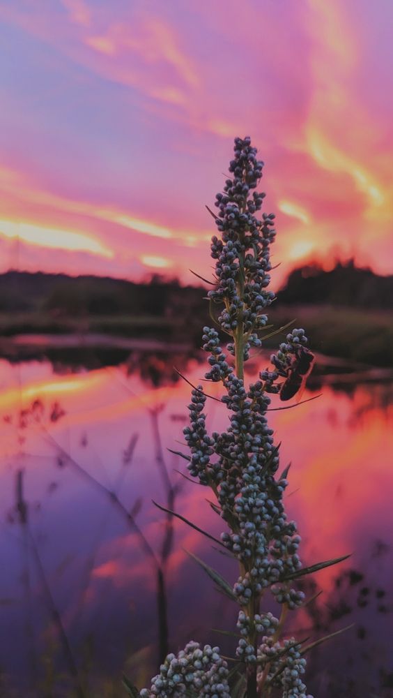 Фотография автора Швайко Михаил