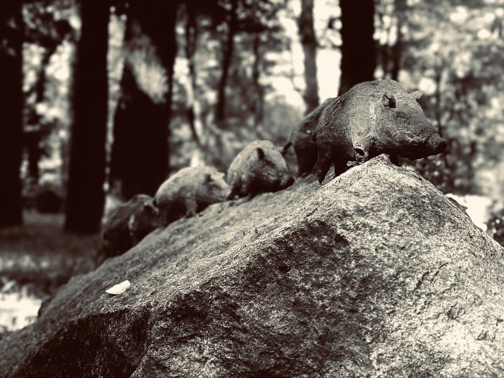 Photograph by Hayk Adamyan