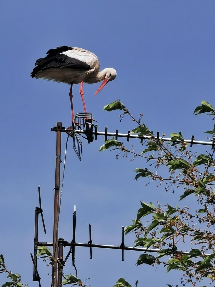 Photograph by Андрей Тур