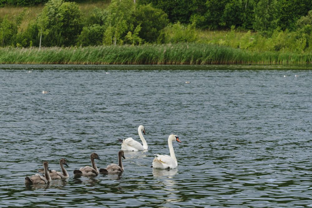 Photograph by Лилия Кондратьева