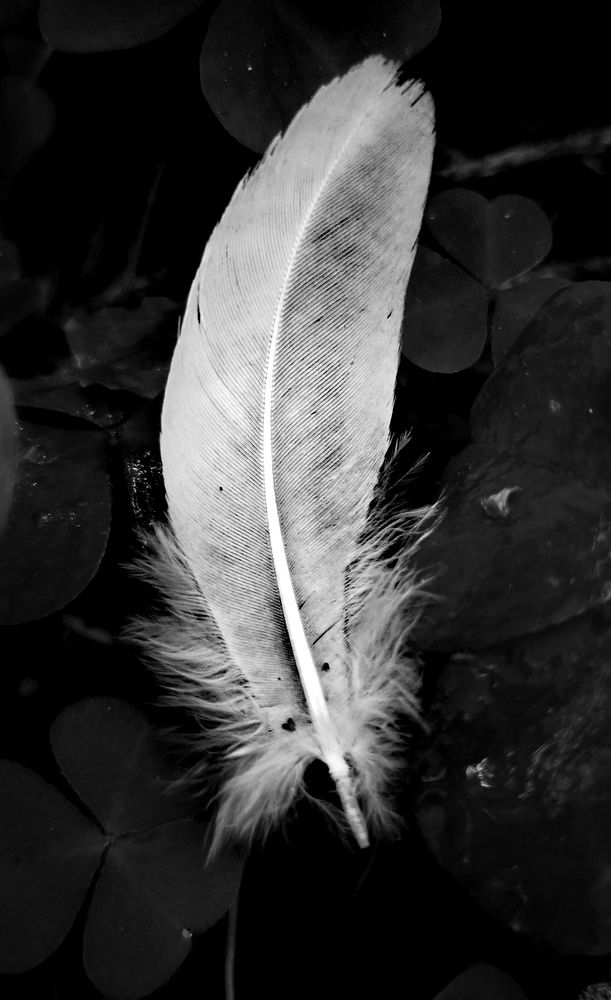 Photograph by Наталья Липко