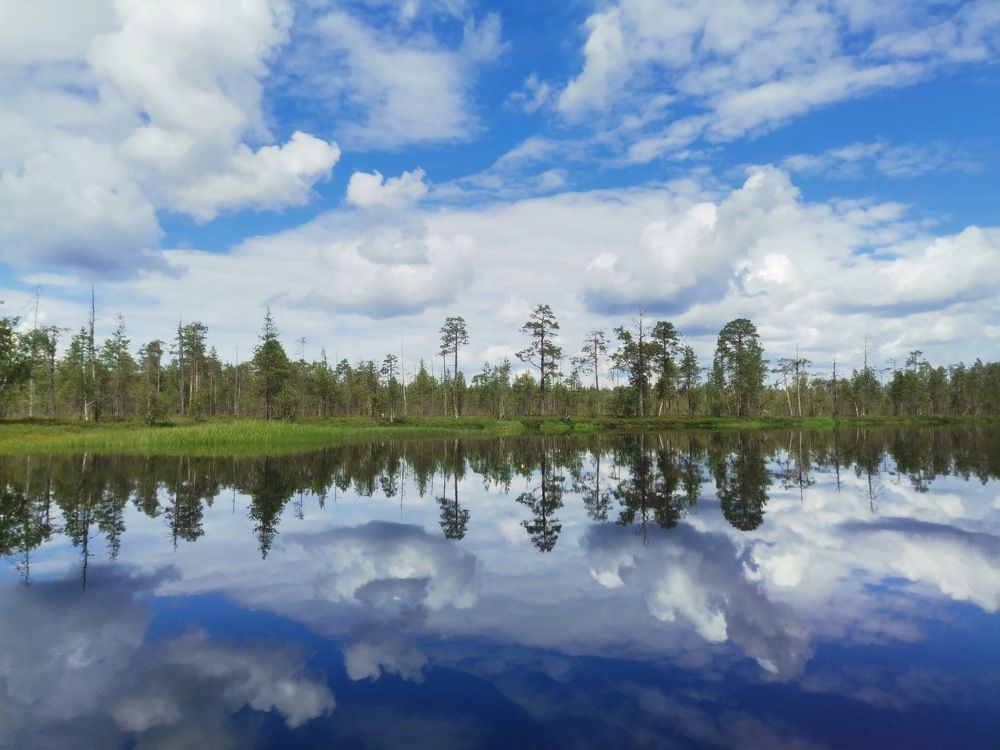 Photograph by Ирина Садовникова