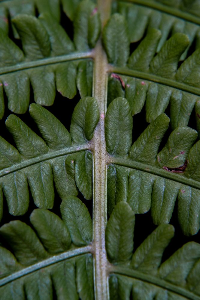 Photograph by Наталия Царёва