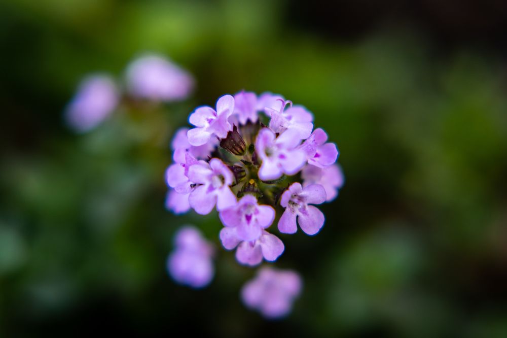 Photograph by Наталия Царёва