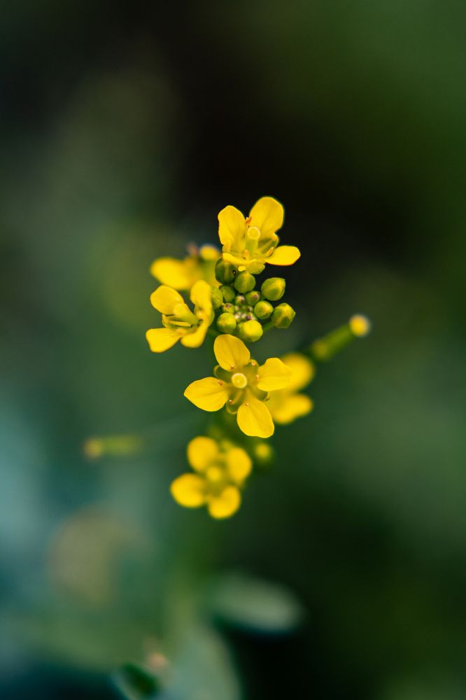 Photograph by Наталия Царёва