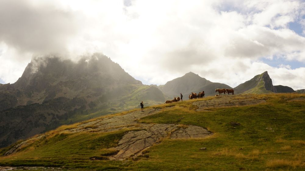 Photograph by Анастасия Морозова