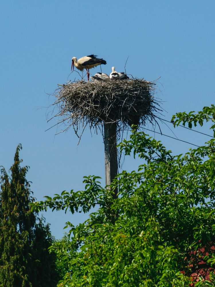 Photograph by Лилия Кондратьева