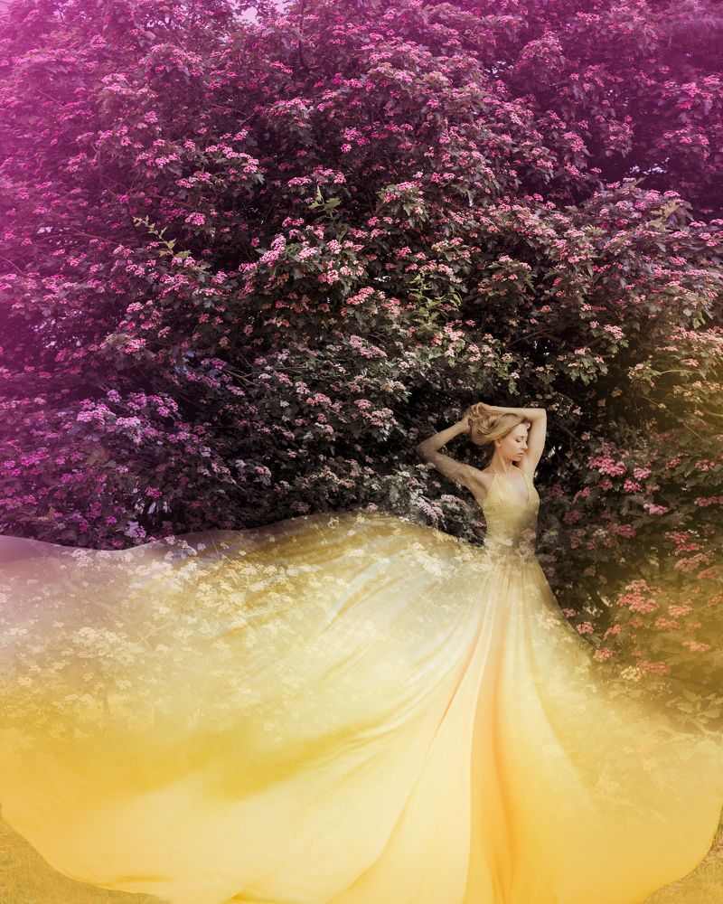 Photograph by Виктория Харченко