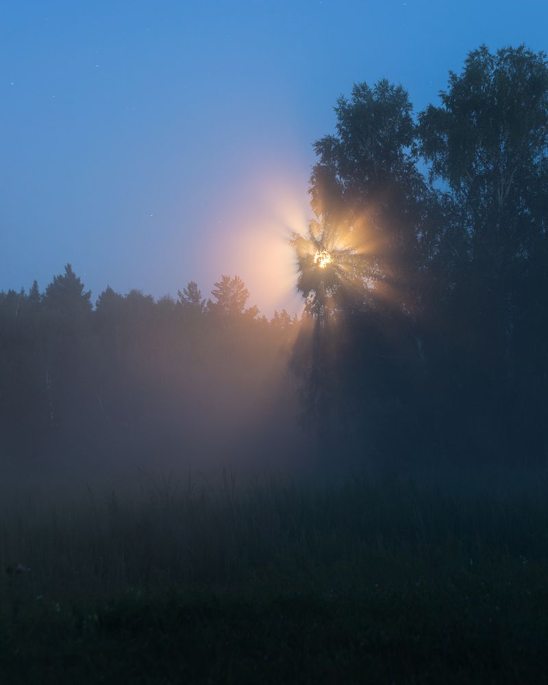 Photograph by Сергей Юрков