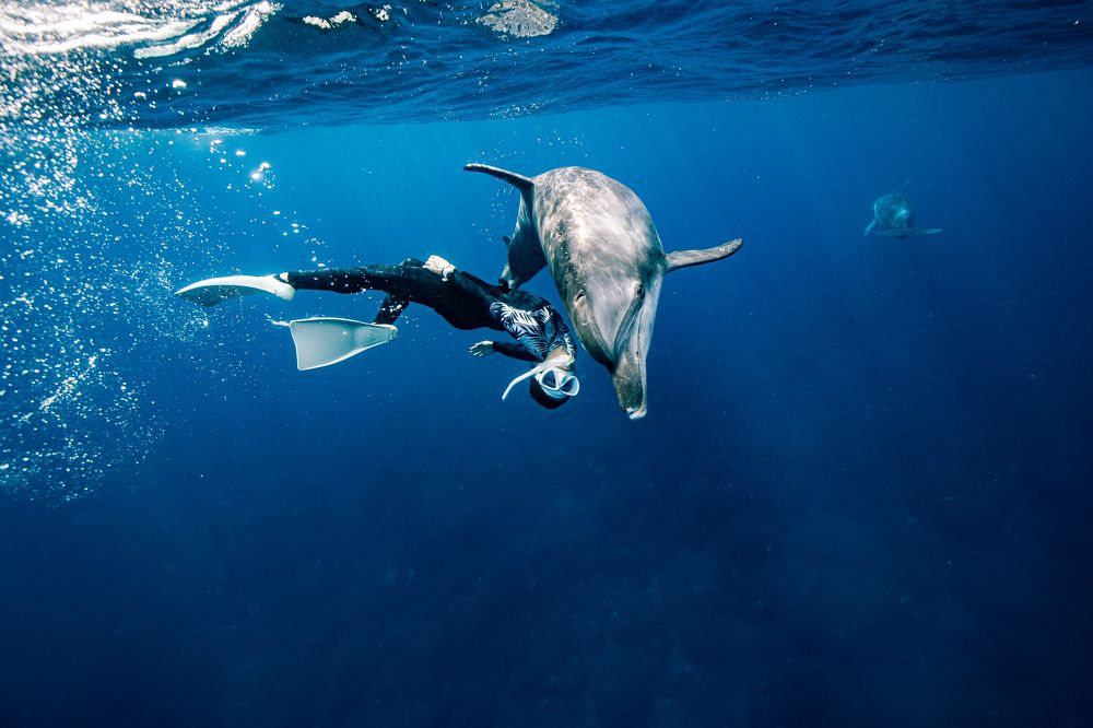 Photograph by Junya Higashi