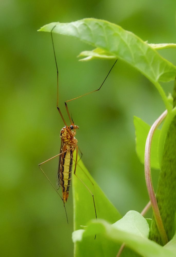 Photograph by Юлия Лушникова