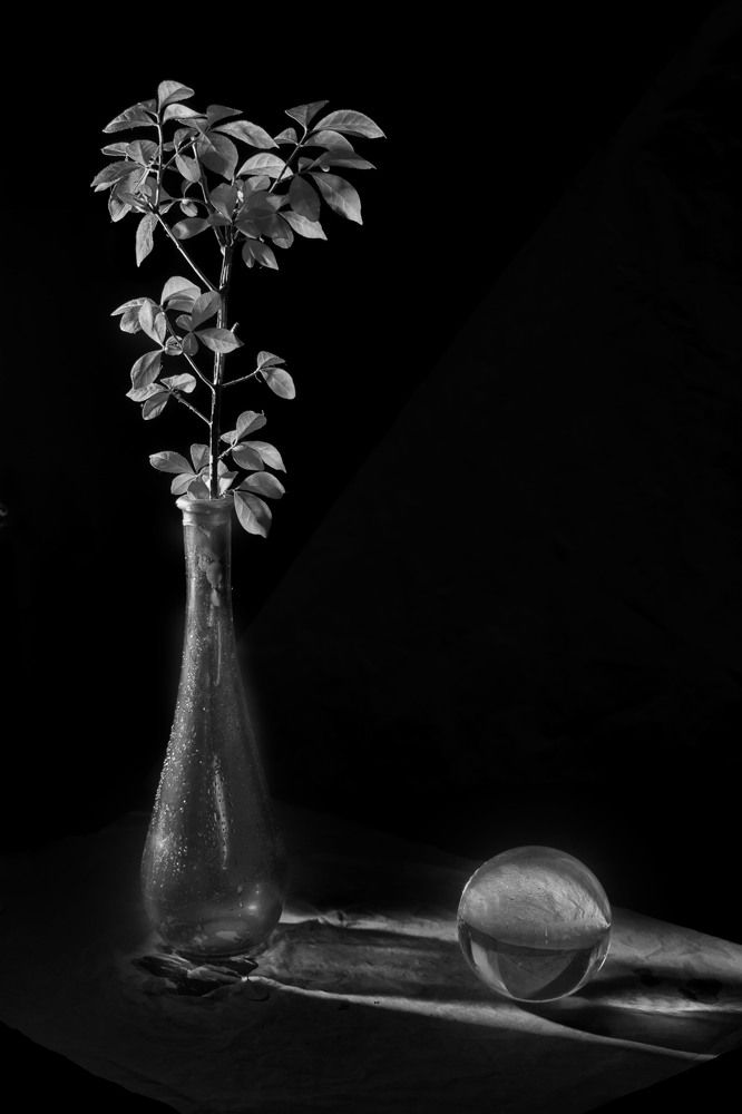 Photograph by Viktoria Alaküla