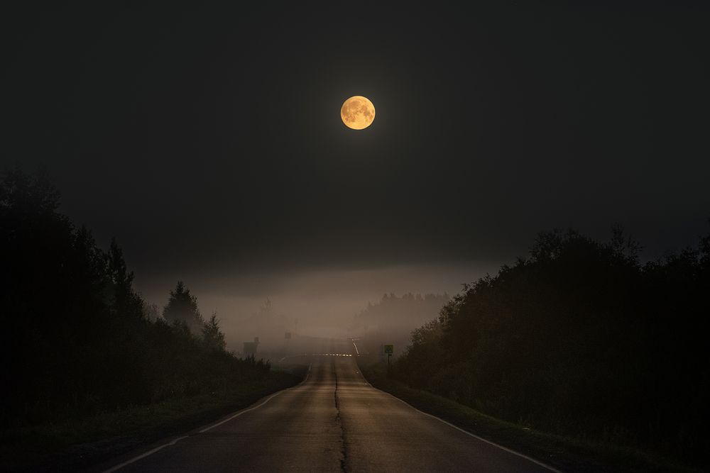 Photograph by Сальников Евгений