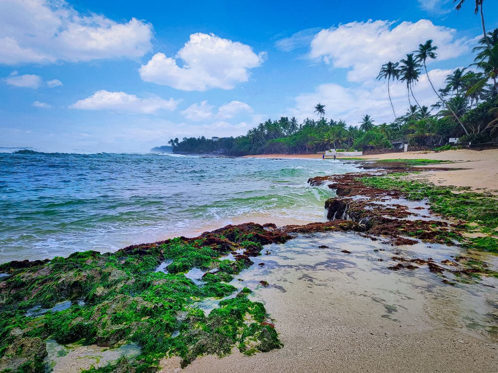 Photograph by Sajith Nayanananda