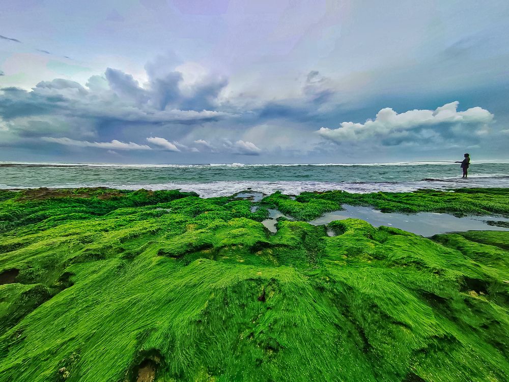 Photograph by Sajith Nayanananda