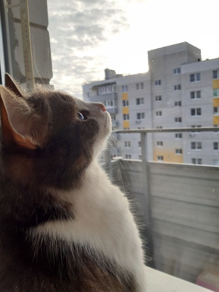 Photograph by Татьяна Смирнова